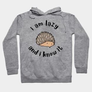 i am lazy and i know it Hoodie